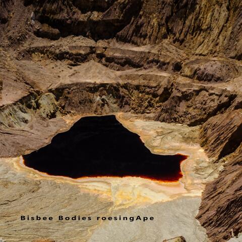 Bisbee Bodies