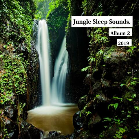 Jungle Sounds for Relax