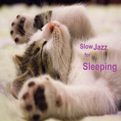 Instrumental Background Jazz for Sleep