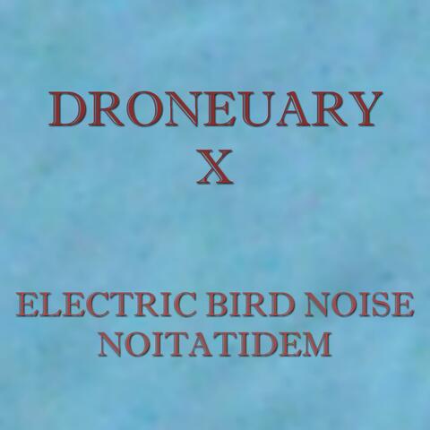 Droneuary X - Noitatidem