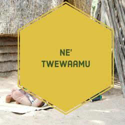 Netwewaamu