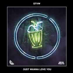 Just Wanna Love You