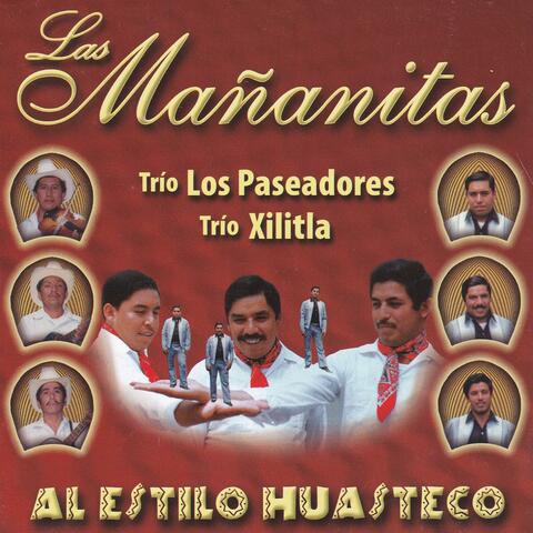Las Mañanitas al Estilo Huasteco (feat. Los Paseadores)