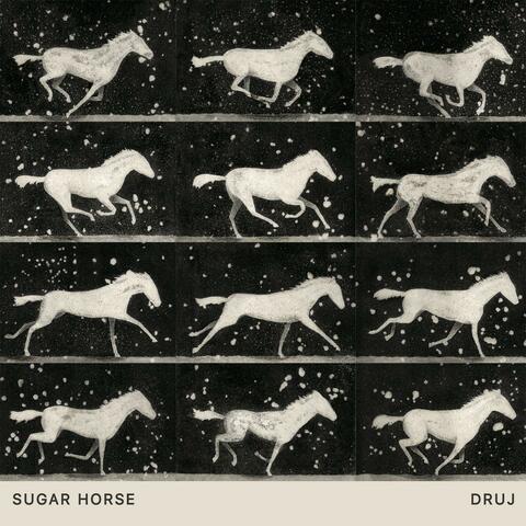 DRUJ