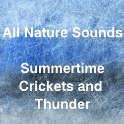 Distinctive Thunder Sounds at Night