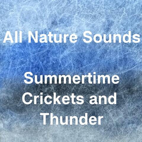 Summertime Crickets and Thunder
