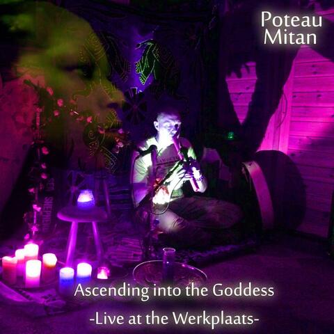 Ascending Into The Goddess (Live At The Werkplaats)