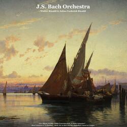Concerto for Oboe in C Major, RV 451: III. Allegro