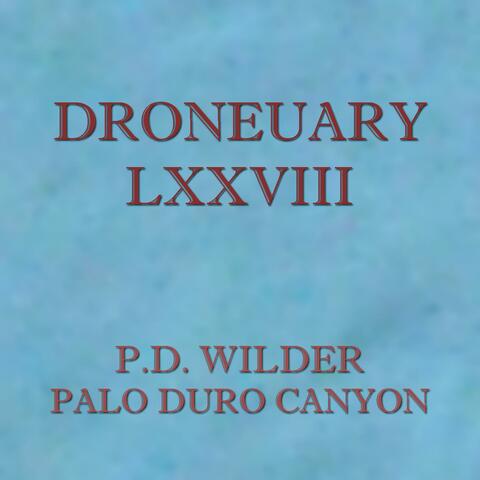 Droneuary LXXVIII - Palo Duro Canyon