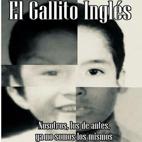 El Gallito Inglés