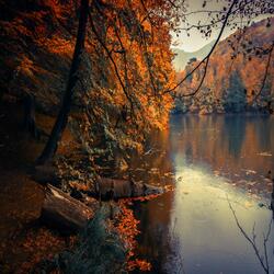Slow Relaxing Jazz for Autumn