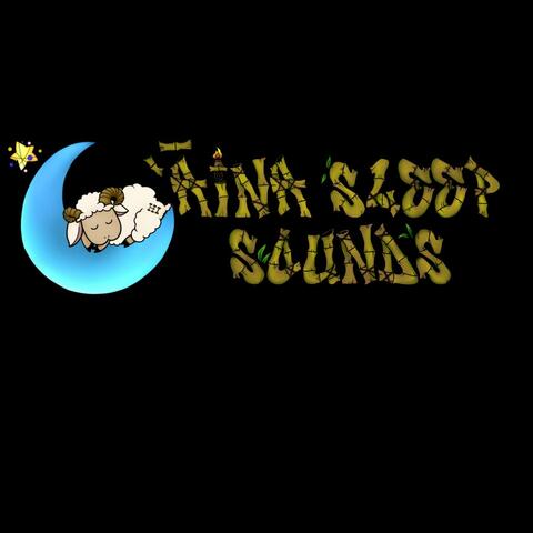 Aina Sleep Sounds LLC.