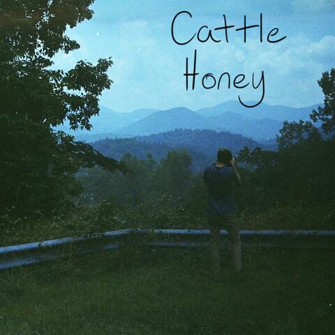 Cattle Honey