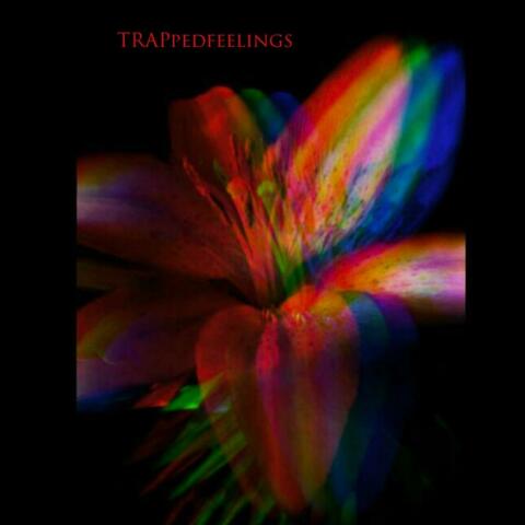 TRAPpedfeelings