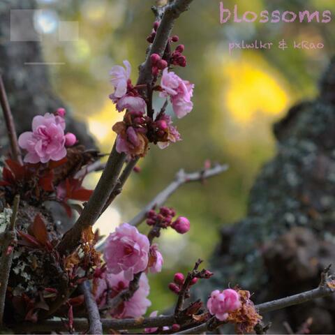 blossoms (feat. kRAO)