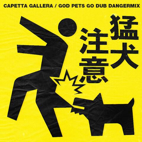 God Pets go dub (Dangermix)