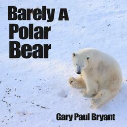 Barely a Polar Bear