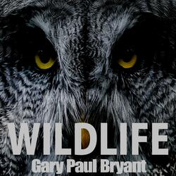 WildLife
