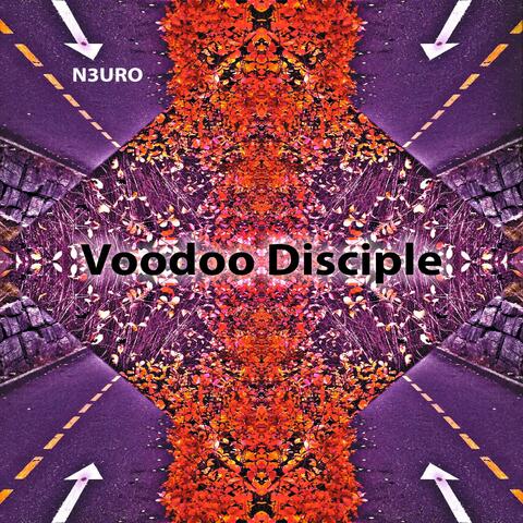 Voodoo Disciple