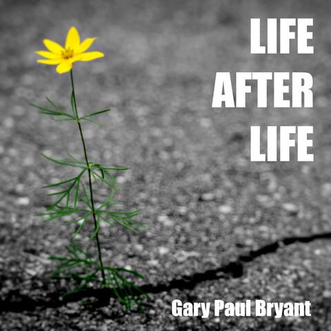 Life After Life