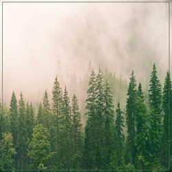 Night-Time Sleep Melody