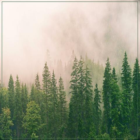 Night-Time Sleep Melody