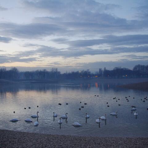 Besides The Pool Of Music