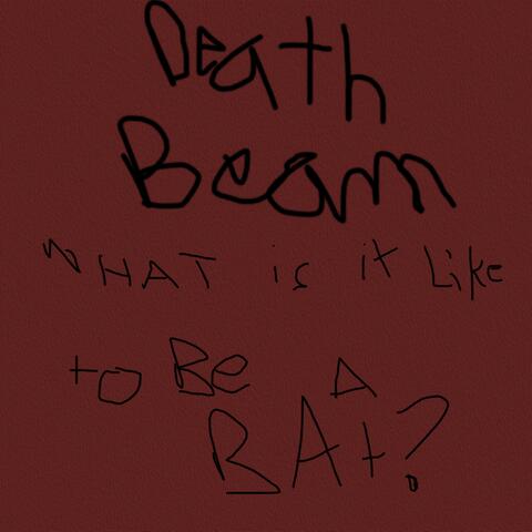 What is it Like to be a Bat?