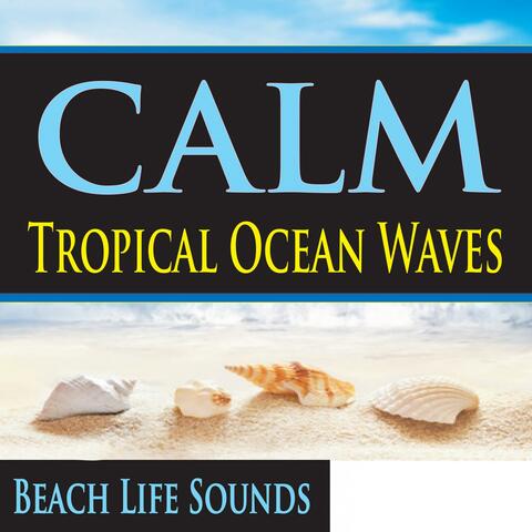 CALM Tropical Ocean Waves & Beach Life Sounds