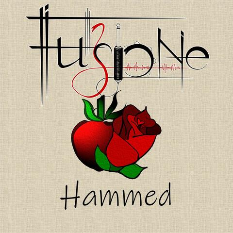 Hammed