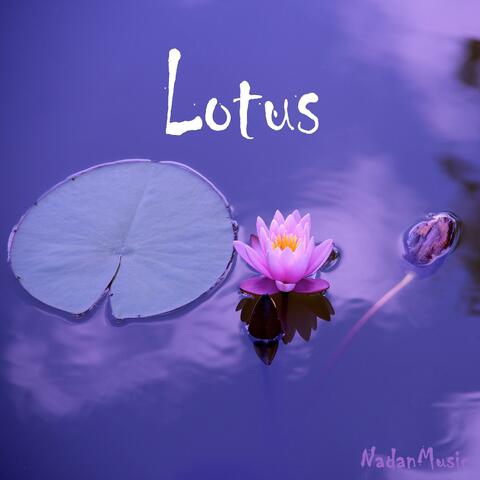 Oriental Music (Calm Piano for Sleep)