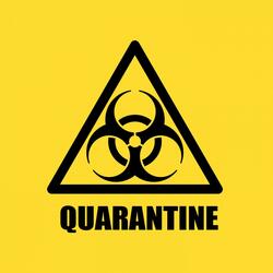 Quarantine (feat. Kado Beatz)