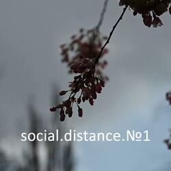 Social Distance No1