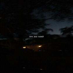 dont leave (feat. iriasona)