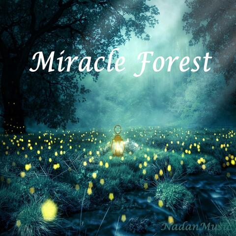 Mystical Forest Song (Relaxing Piano Music)