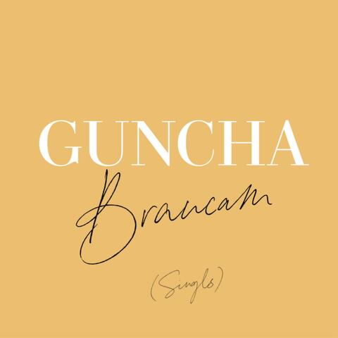 Braucam