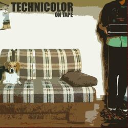 In Other Words (Analog Acoustic)