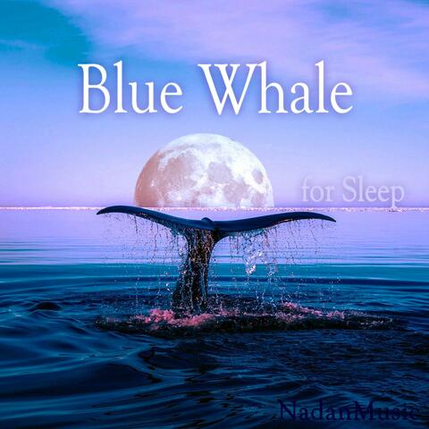 Piano Lullaby for Comportable Relaxation