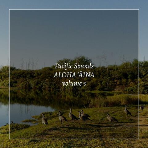 Aloha Aina, Volume 5: Field Recordings of Hawaii