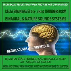 Delta Brainwaves 0.5 - 3Hz & Thunderstorm
