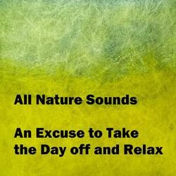 An Excuse to Take the Day Off and Relax