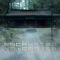 Encrypted Voices