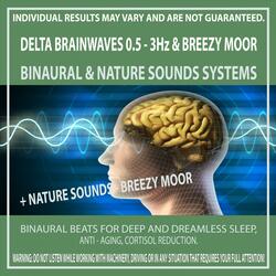 Delta Brainwaves 0.5 - 3Hz & Breezy Moor
