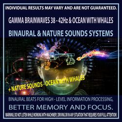 Gamma Brainwaves 38 - 42Hz & Ocean with Whales