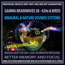 Gamma Brainwaves 38 - 42Hz & Birds