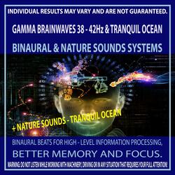 Gamma Brainwaves 38 - 42Hz & Tranquil Ocean