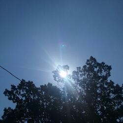 Radiate Positivity