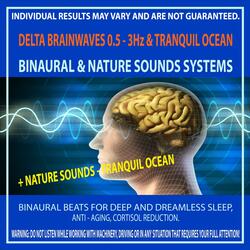 Delta Brainwaves 0.5 - 3Hz & Tranquil Ocean