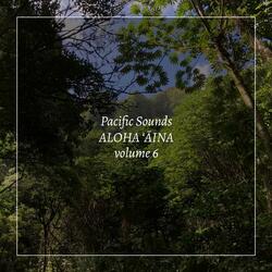 Manu, Waimalu Gulch, Oahu