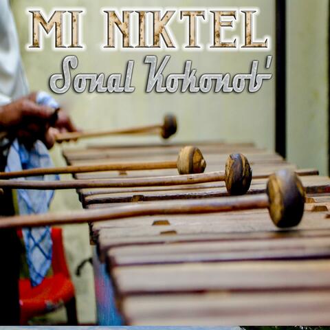 Mi Niktel Volumen 1